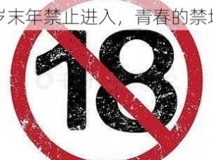 18岁末年禁止进入,18 岁末年禁止进入，青春的禁地