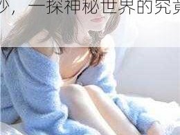 午夜体验试看120秒(午夜体验试看 120 秒，一探神秘世界的究竟)