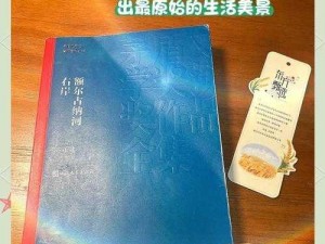 《奇遇秘境：侠客之路与汗血宝马的获得》