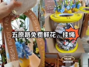 符文工厂5花店解锁攻略：全面指南教你如何解锁花店功能介绍