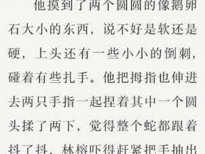 双蛇入侵小说免费阅读_双蛇入侵：诡异事件背后的真相