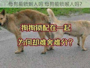 母狗能锁到人吗 母狗能锁喉人吗？