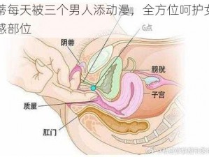 荫蒂每天被三个男人添动漫，全方位呵护女性敏感部位