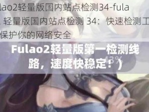 fulao2轻量版国内站点检测34-fulao2 轻量版国内站点检测 34：快速检测工具，保护你的网络安全