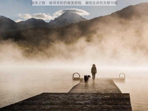 迷失之路：探寻未知的唯美旅程，展现生命的无限可能