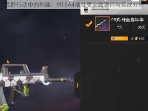 荒野行动中的利器：M16A4精准度全面测评与实战分析