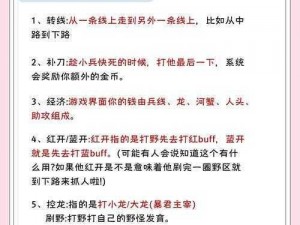 王者v8：游戏术语解析与含义探讨，揭秘背后的真相和深层含义