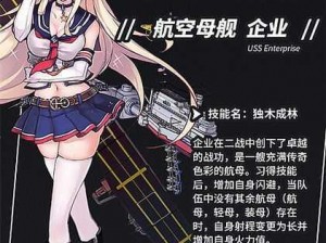 战舰少女技能详解：技能分类与实战作用全面解析