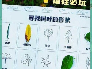 森林树叶的神奇再生：合成之道的探索与应用揭秘