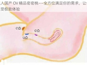 成人国产 OV 精品密密桃——全方位满足你的需求，让你享受极致体验