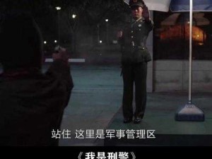 警察哨兵攻略：智勇双全，斗智斗勇显身手