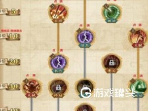 航海王燃烧意志新手攻略大全：快速升级技巧详解与实战操作指南