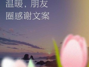 美丽的领居中字-美丽的邻里之间，藏着多少温暖的故事