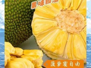 菠萝蜜国际通道一区麻豆(菠萝蜜国际通道一区麻豆，她是如何成为众人瞩目的焦点的？)