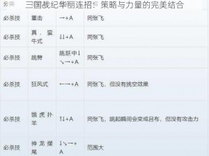 三国战纪华丽连招：策略与力量的完美结合