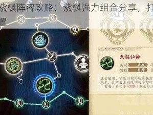 天地劫紫枫阵容攻略：紫枫强力组合分享，打造卓越战斗配置