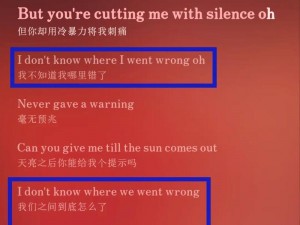 抖音热曲揭秘：谁说太疯狂？内心角落深藏的那首歌