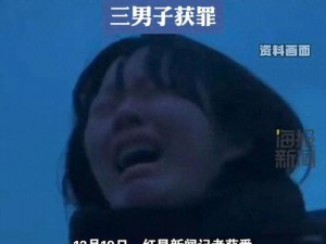 犯罪大师密谋揭秘：揭秘自杀事件真凶身份揭晓之际，探寻真相之路蜿蜒曲折