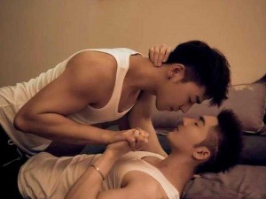 国产猛男Gay小蓝GⅤ2023(国产猛男 Gay 小蓝 GⅤ2023：探索男性魅力的新视角)