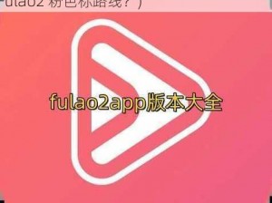 Fulao2粉色标路线检测免费(如何免费检测 Fulao2 粉色标路线？)