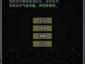 放置江湖：零转华山攻略——新手玩转江湖之路