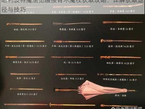 哈利波特魔法觉醒接骨木魔杖获取攻略：详解获取途径与技巧