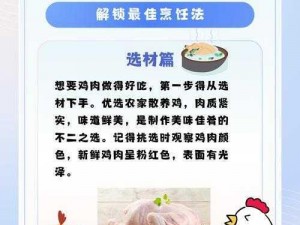 我的世界熟鸡肉烹饪秘籍：熟鸡肉制作方法全面解析