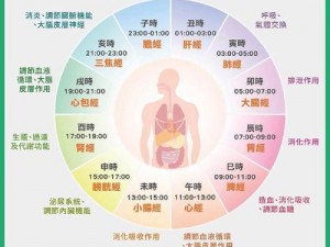 灵兽秘法：养生功的卓越功效与健康奥秘