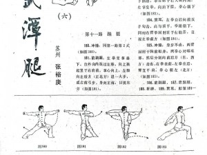 武学奥秘揭秘：无锁定招式实战解析与运用指南