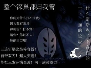 《关于空洞骑士小骑士，他到底是男是女的新解密》