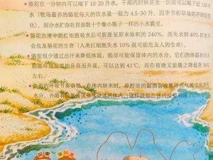 荒域探险之旅：神秘莫测的自然景观与极致乐趣探索简介