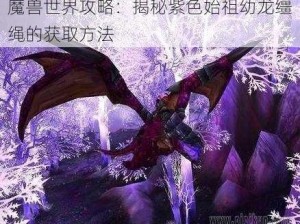 魔兽世界攻略：揭秘紫色始祖幼龙缰绳的获取方法