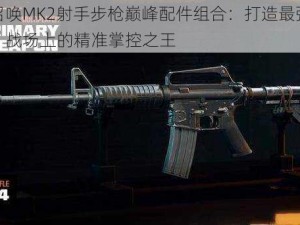 使命召唤MK2射手步枪巅峰配件组合：打造最强射击利器，战场上的精准掌控之王