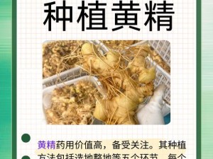 国精产品一区一区三区使用方法(如何使用国精产品一区一区三区？)