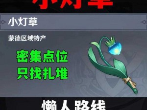 原神小灯草快速采集攻略：方法与地点大揭秘