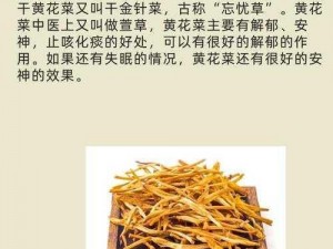 多汁的omega一盆黄花菜 多汁的 omega 一盆黄花菜：食用方法大揭秘