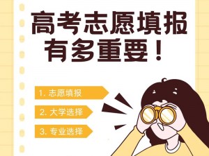 高考报志愿指南：精准选择，合理布局，规划未来学业之路