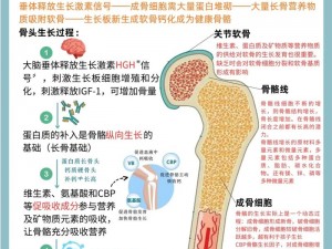 世界生长激素的奥秘：深入了解其对人体生长与发育的全方位影响