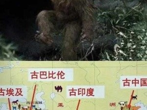 新区乱码无人区二精东;探索新区乱码无人区二精东：神秘之地的未解之谜