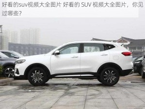 好看的suv视频大全图片 好看的 SUV 视频大全图片，你见过哪些？