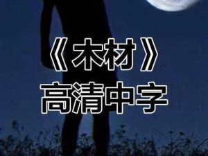 中文文字幕文字幕高清;有哪些高清的电影或视频带有中文文字幕？