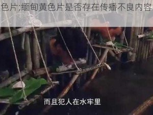 缅甸黄色片;缅甸黄色片是否存在传播不良内容的风险？