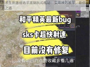 绝地求生刺激战场平底锅BUG揭秘：实用技巧教学，助你战场称霸之道