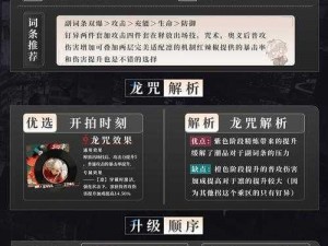 归龙潮凛实战攻略：培养策略与配队思路深度解析