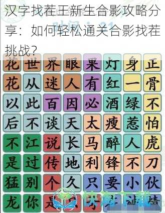 汉字找茬王新生合影攻略分享：如何轻松通关合影找茬挑战？