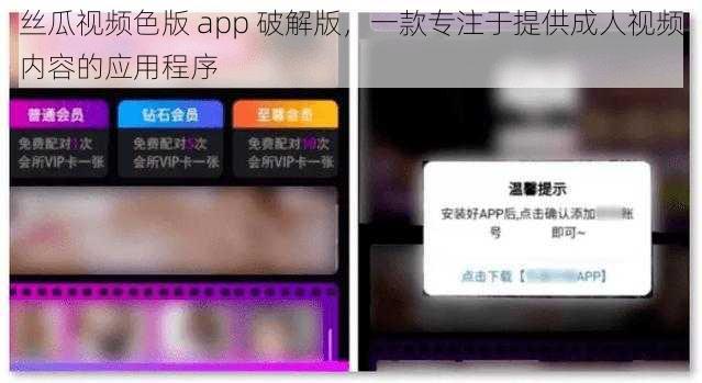 丝瓜视频色版 app 破解版，一款专注于提供成人视频内容的应用程序