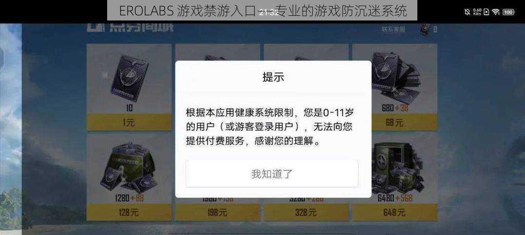 EROLABS 游戏禁游入口——专业的游戏防沉迷系统