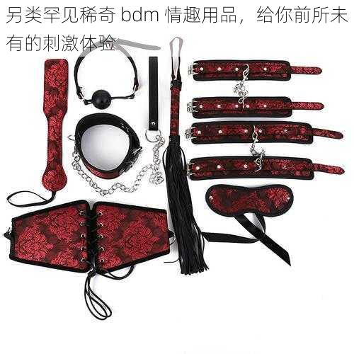 另类罕见稀奇 bdm 情趣用品，给你前所未有的刺激体验