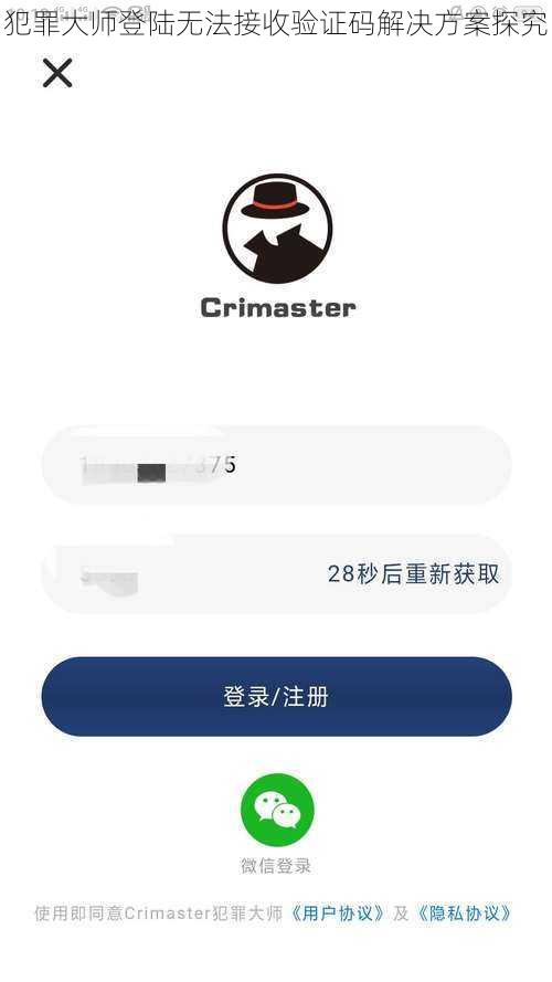 犯罪大师登陆无法接收验证码解决方案探究