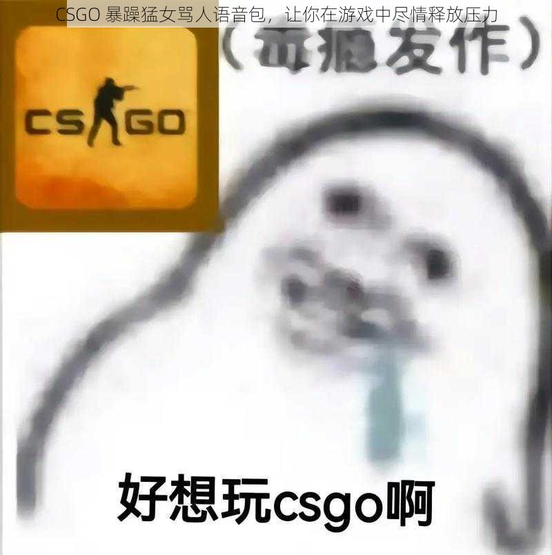 CSGO 暴躁猛女骂人语音包，让你在游戏中尽情释放压力